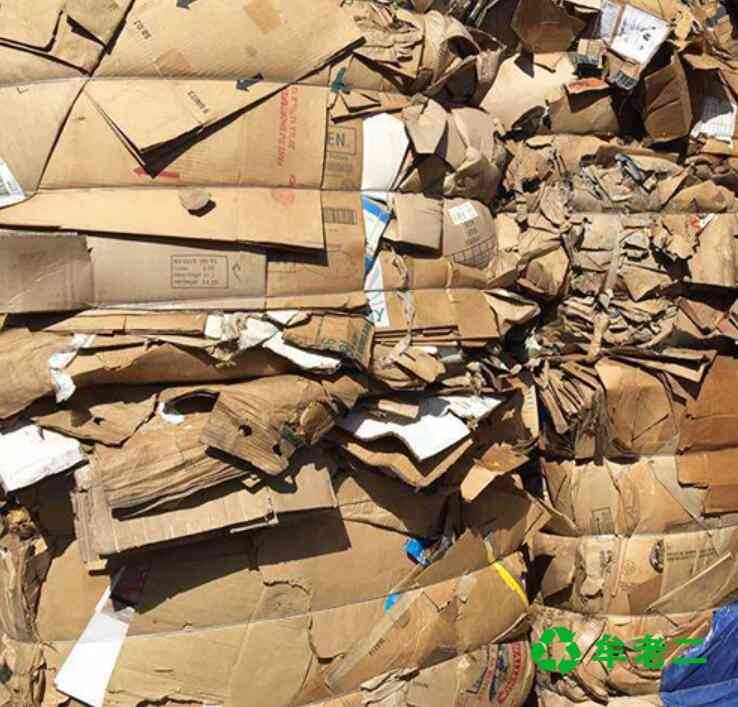 废纸回收与再利用：实现纸张资源的循环利用